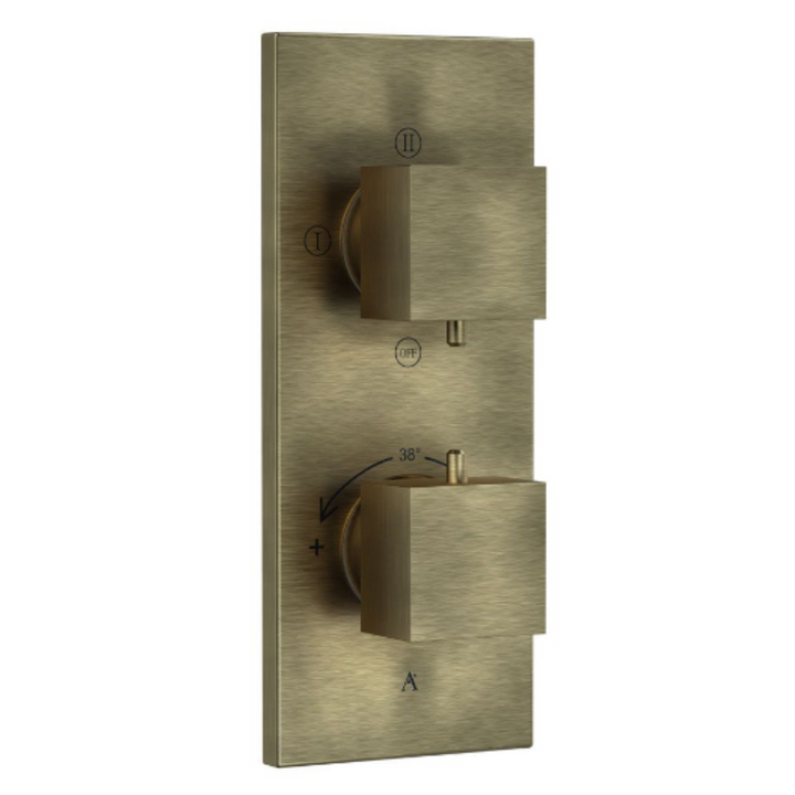 thermostatic shower mixer valve