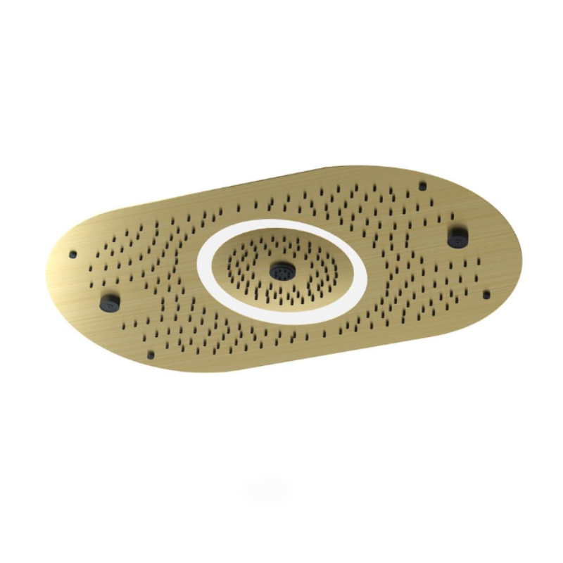 Artize  Shower Head 