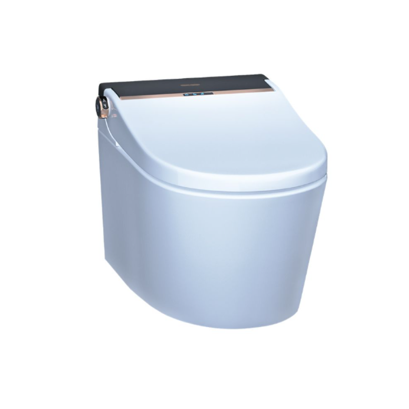wall hung toilet​