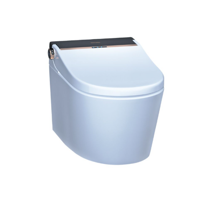 wall hung toilet​