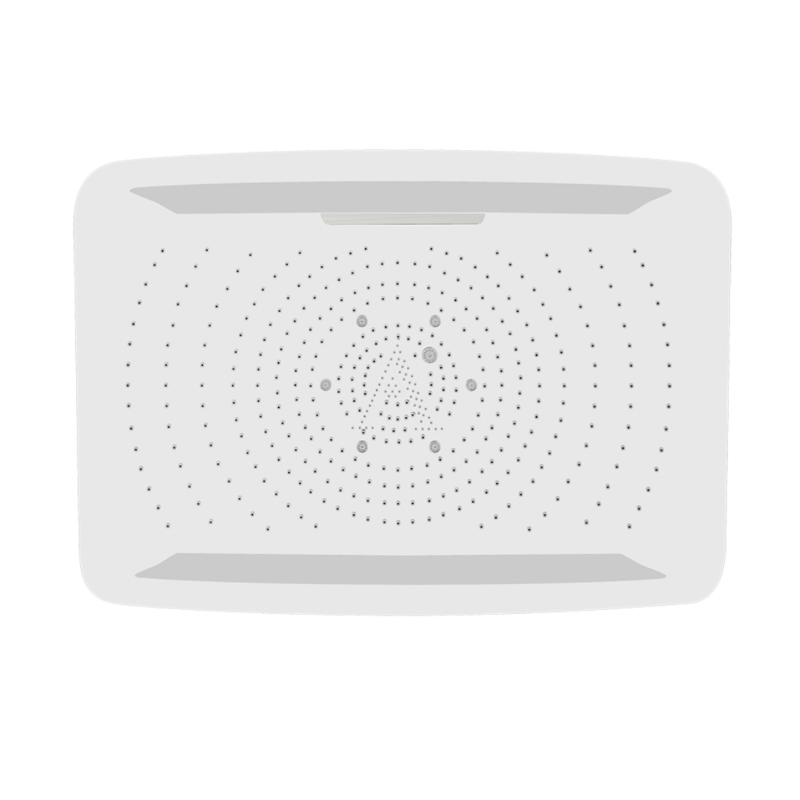 Matt White Rainjoy Shower-Spa 4 Function Shower Head