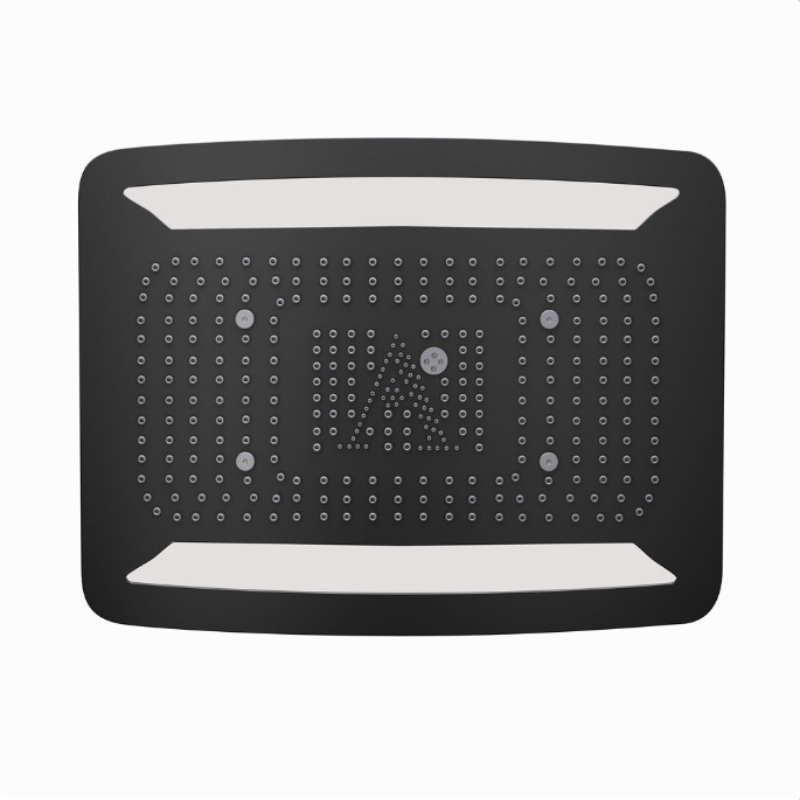 Matt Black Shower Head